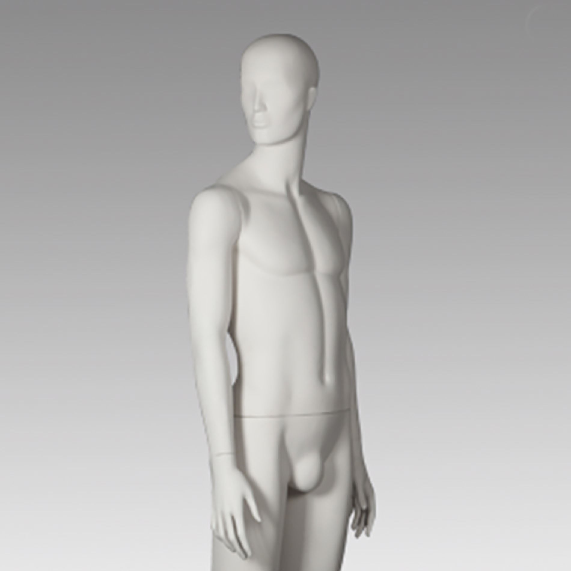 Fiberglass Busts & Torso Gallery Image