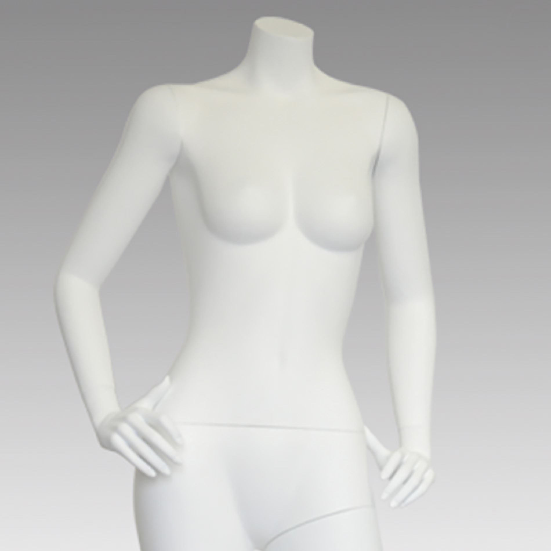 Fiberglass Busts & Torso Gallery Image