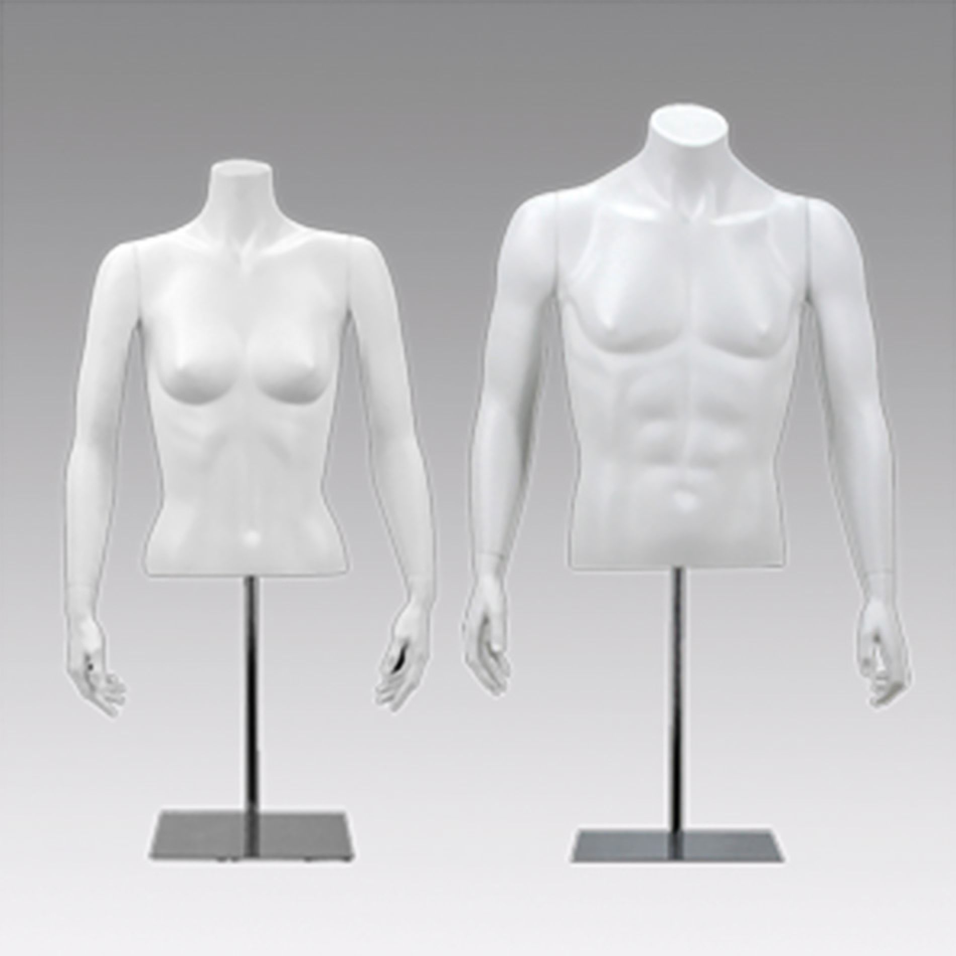 Fiberglass Busts & Torso